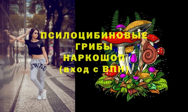 гидропоника Лихославль
