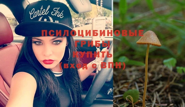 шишки Лагань