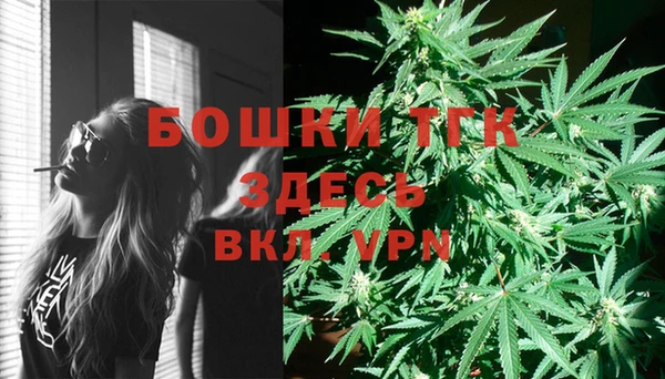 шишки Лагань