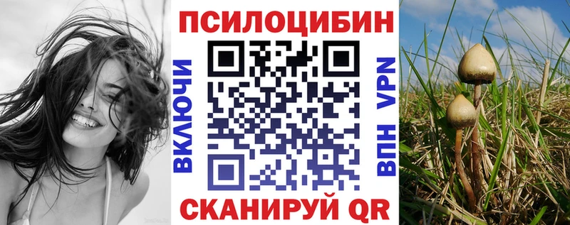 даркнет сайт  Лосино-Петровский  Псилоцибиновые грибы Psilocybe 