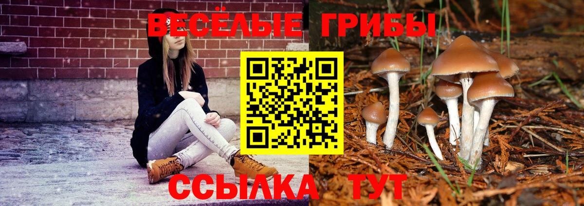 COCAIN  Лосино-Петровский  Гашиш  Меф МЯУ МЯУ   Конопля  Наркошоп  МЕФ  Вход с VPN 
