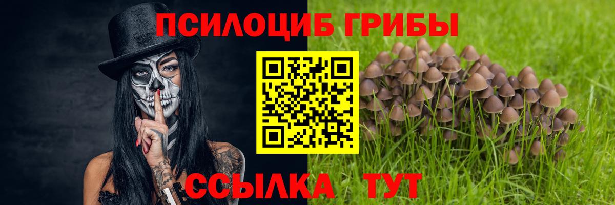 Псилоцибиновые грибы GOLDEN TEACHER Лосино-Петровский